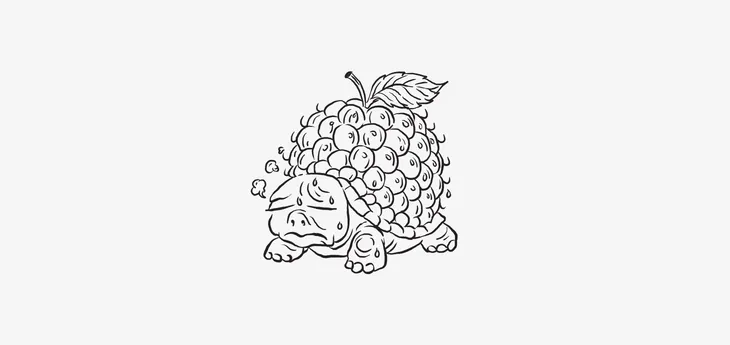 A doodle of a slow tortoise with a raspberry instead of a shell